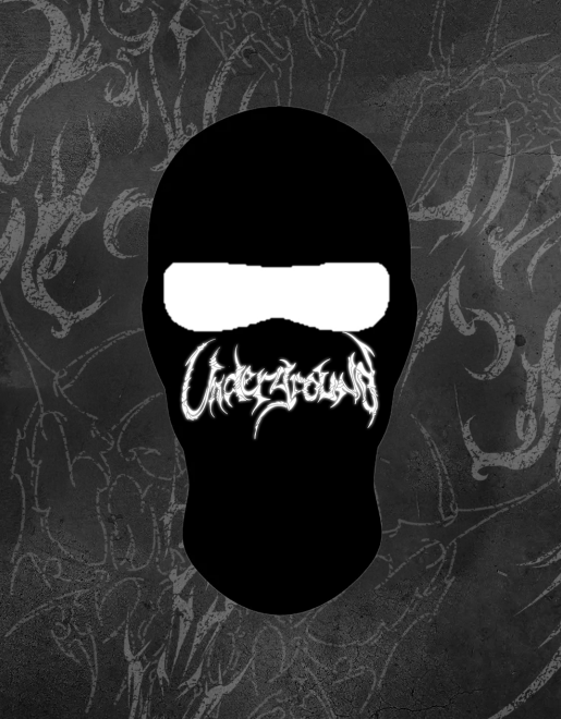 REFLECTIVE SKI MASK